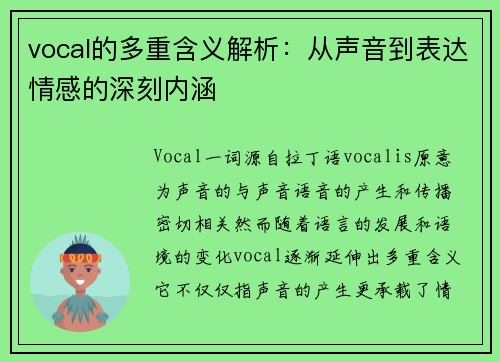 vocal的多重含义解析：从声音到表达情感的深刻内涵
