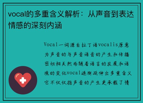 vocal的多重含义解析：从声音到表达情感的深刻内涵
